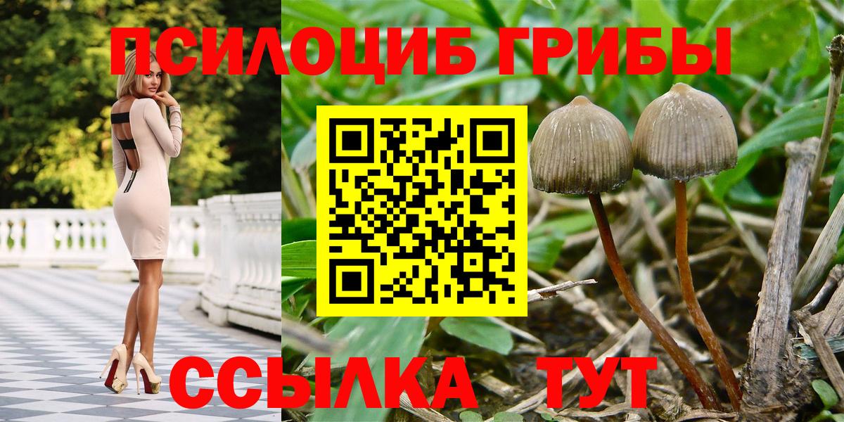 Псилоцибиновые грибы GOLDEN TEACHER Долгопрудный